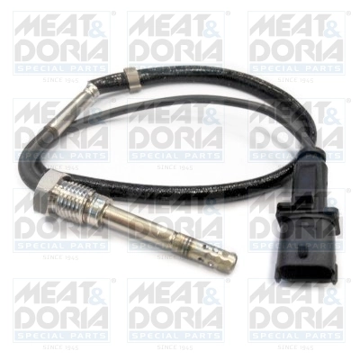 Sensor, exhaust gas temperature